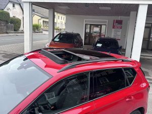 SEAT Ateca  2,0 FR 4WD TSI DSG *AHK, Panorama, Standheizung*