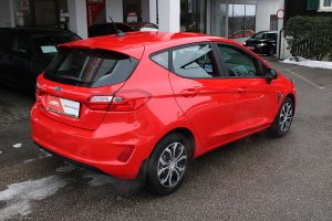 Ford Fiesta  Trend 1,0 EcoBoost *Winterpaket, Tempomat*