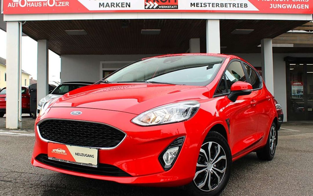 Ford Fiesta  Trend 1,0 EcoBoost *Steuerkettenmotor,Winterpak…