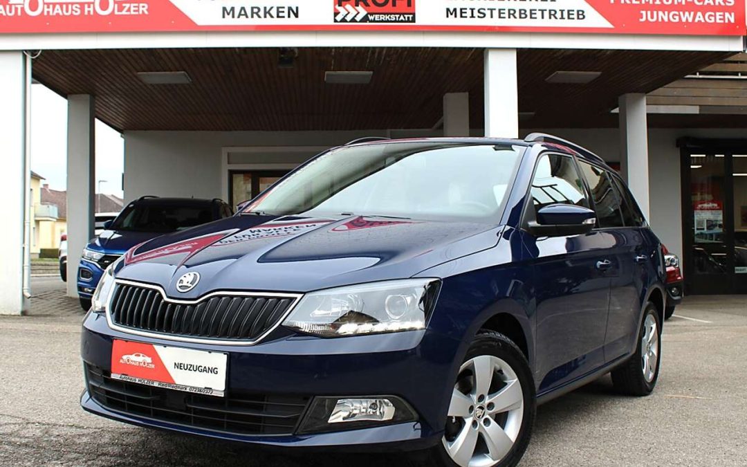 Skoda Fabia  Combi Ambition 1,0 TSI *Tempomat, Parksensor*