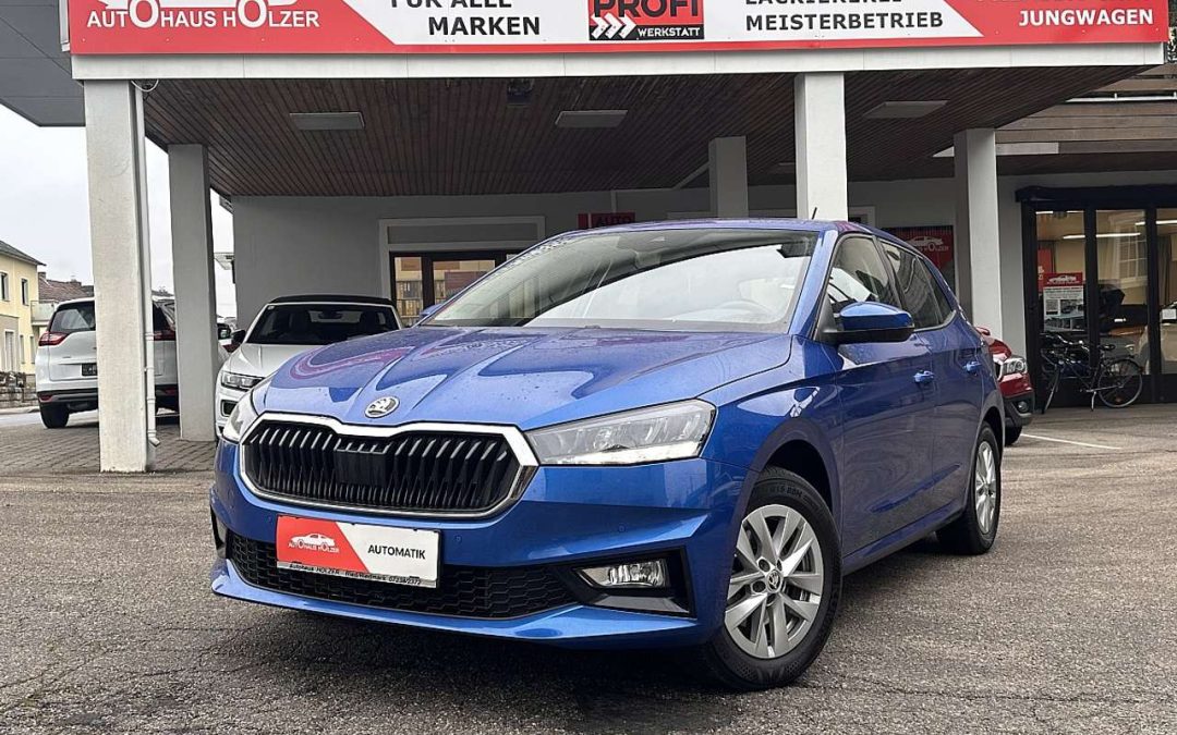 Skoda Fabia  Selection 1,0 TSI DSG *KESSY, NAVI, RÜ.Kam*