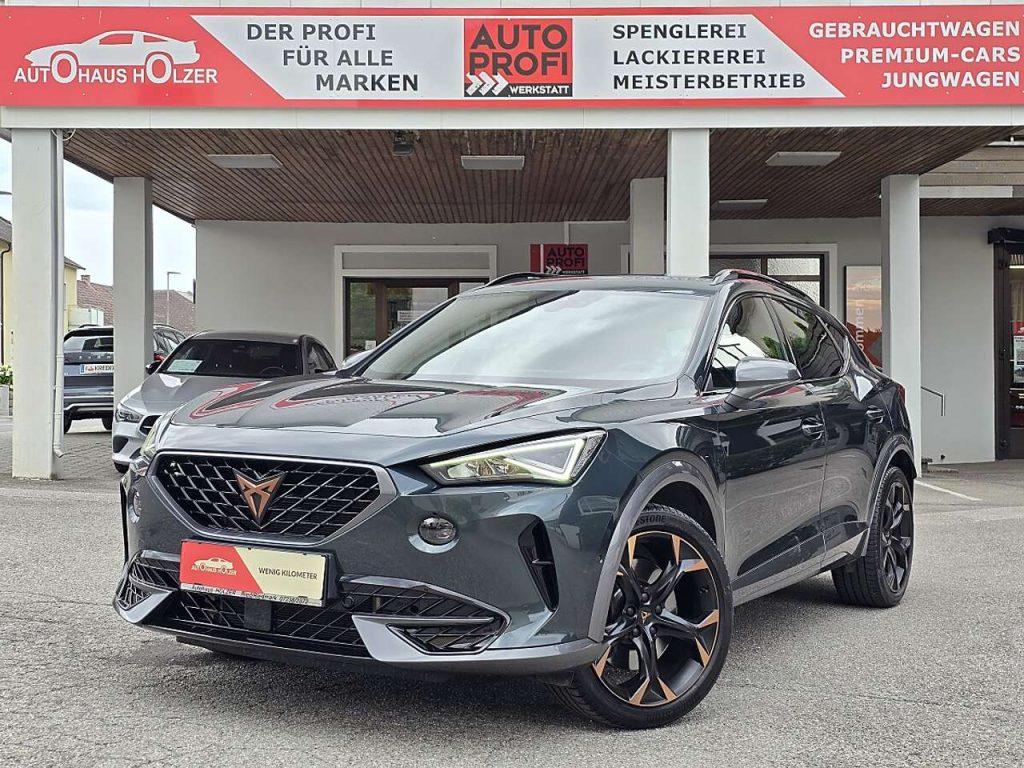 CUPRA Formentor  VZ 2,0 TSI DSG *KESSY, Memory, AHK*