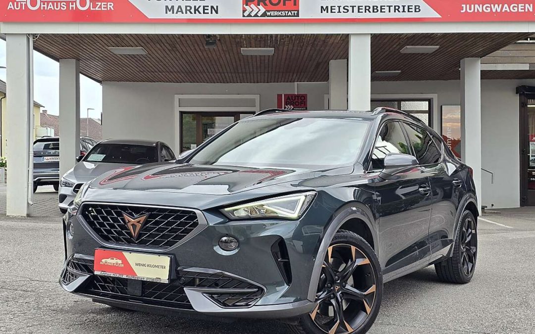 CUPRA Formentor  VZ 2,0 TSI DSG *KESSY, Memory, AHK*